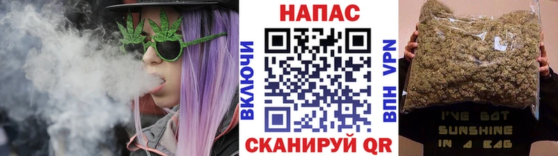 цена наркотик  Козельск  Конопля сатива 